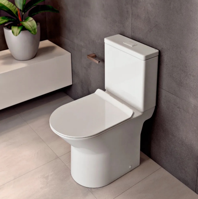 Desentupimento  de Vaso Sanitário